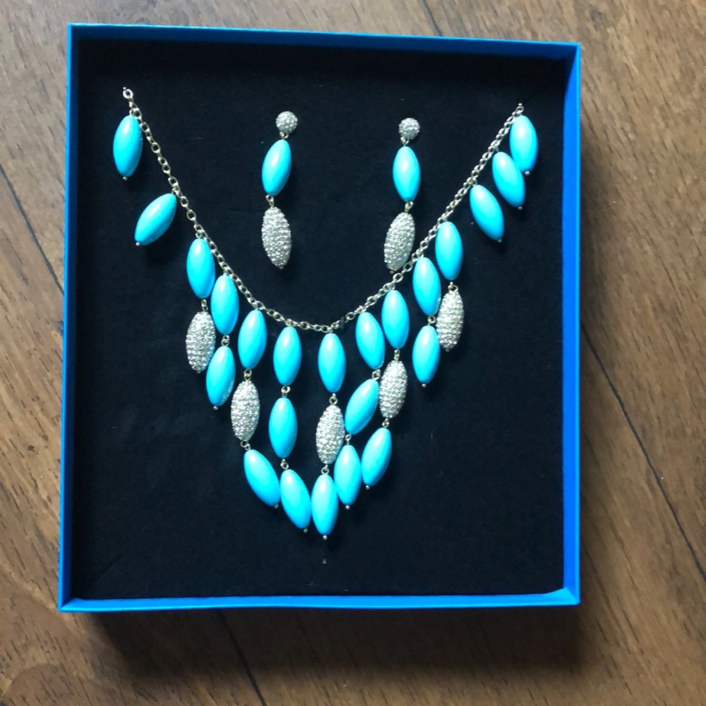 Tortoise jewelry set necklace and earrings